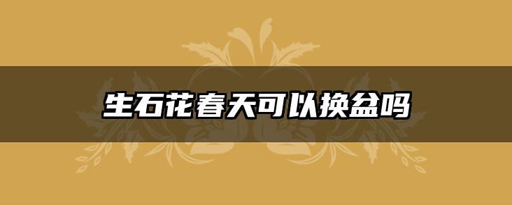 生石花春天可以换盆吗
