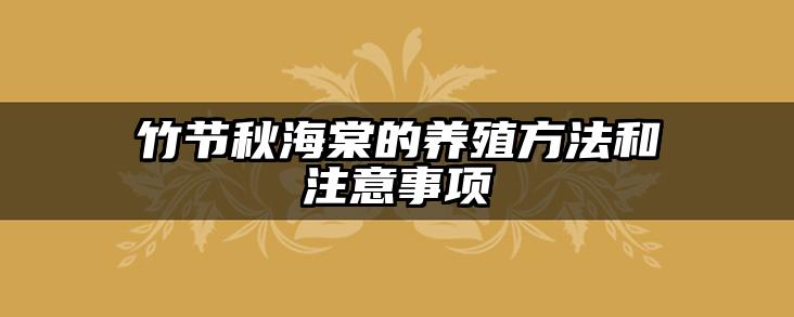 竹节秋海棠的养殖方法和注意事项