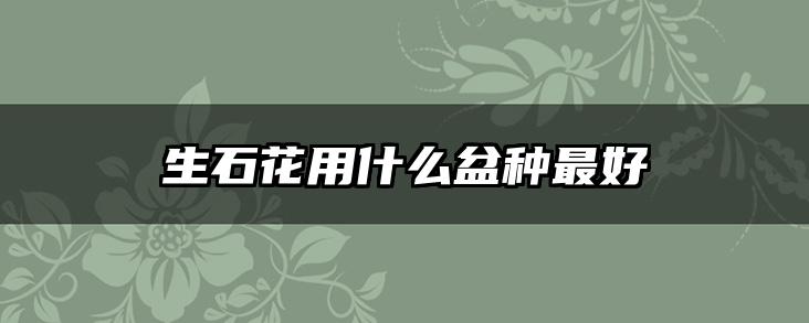 生石花用什么盆种最好