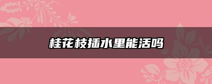 桂花枝插水里能活吗