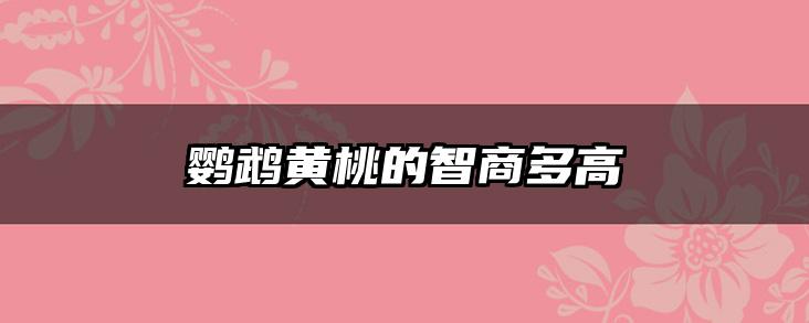 鹦鹉黄桃的智商多高