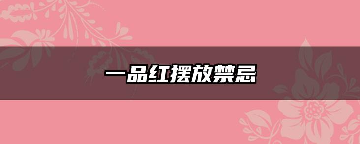 一品红摆放禁忌