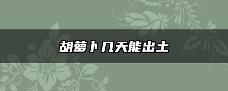 胡萝卜几天能出土
