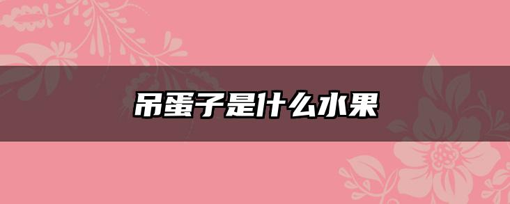 吊蛋子是什么水果