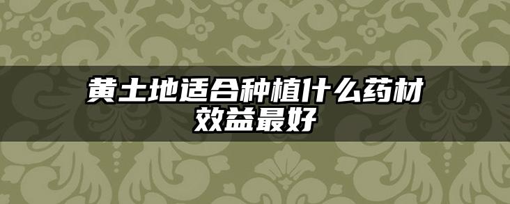 黄土地适合种植什么药材效益最好