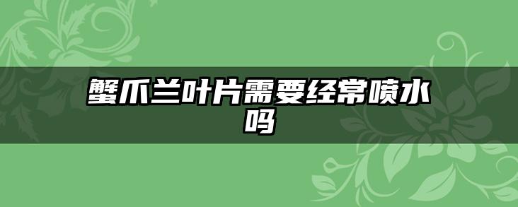 蟹爪兰叶片需要经常喷水吗