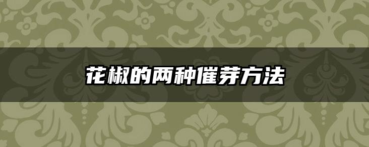 花椒的两种催芽方法