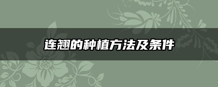 连翘的种植方法及条件