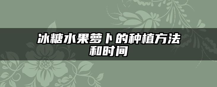 冰糖水果萝卜的种植方法和时间