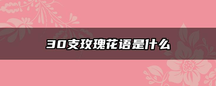 30支玫瑰花语是什么