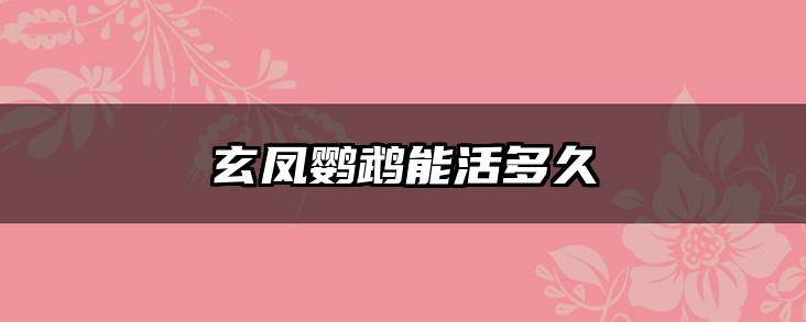 玄凤鹦鹉能活多久