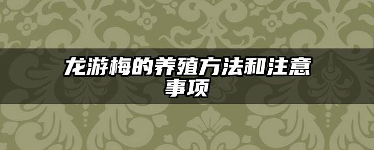 龙游梅的养殖方法和注意事项