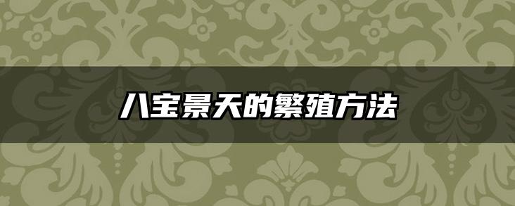 八宝景天的繁殖方法