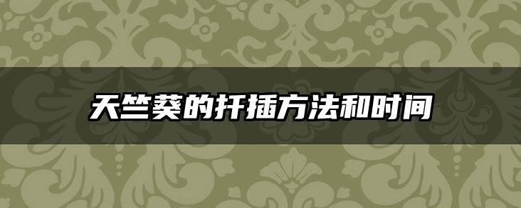天竺葵的扦插方法和时间