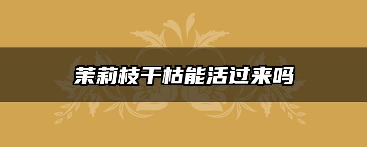 茉莉枝干枯能活过来吗
