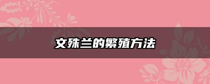 文殊兰的繁殖方法