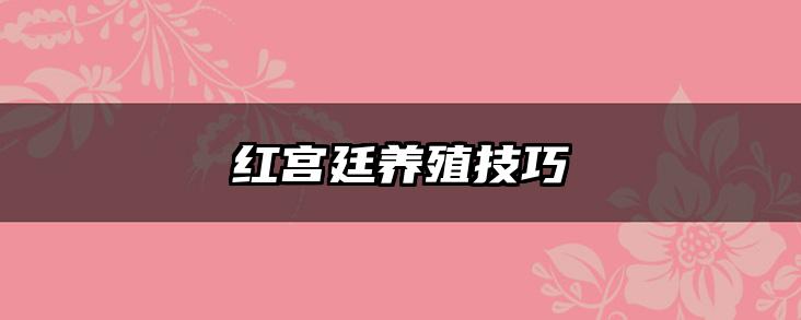 红宫廷养殖技巧