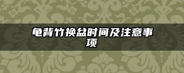龟背竹换盆时间及注意事项