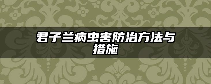 君子兰病虫害防治方法与措施