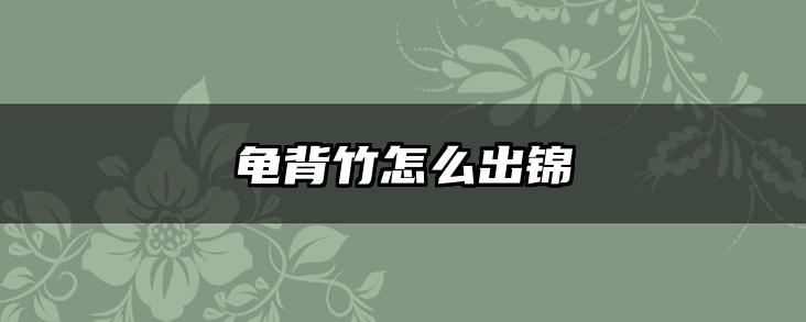 龟背竹怎么出锦