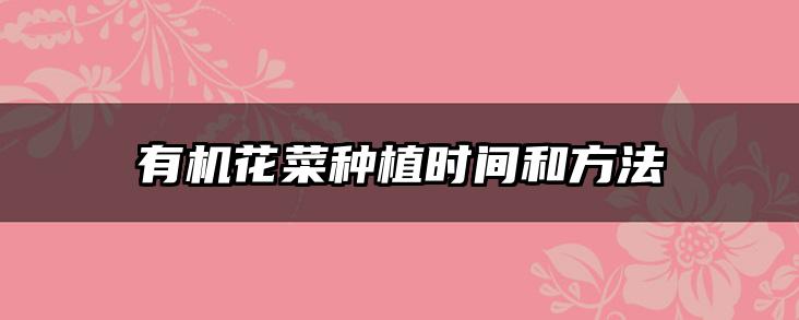 有机花菜种植时间和方法