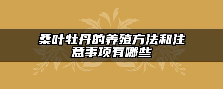 桑叶牡丹的养殖方法和注意事项有哪些
