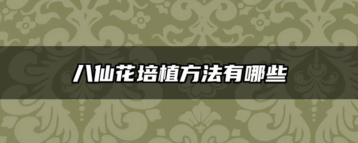 八仙花培植方法有哪些