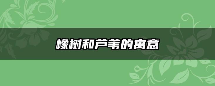 橡树和芦苇的寓意
