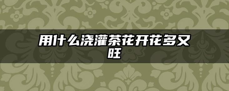 用什么浇灌茶花开花多又旺