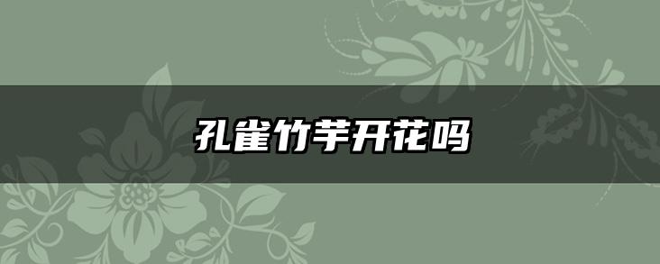 孔雀竹芋开花吗