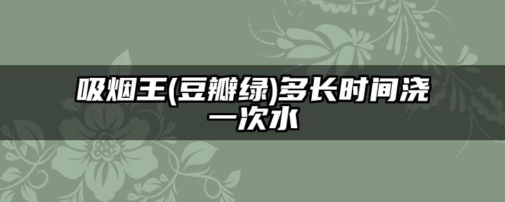 吸烟王(豆瓣绿)多长时间浇一次水