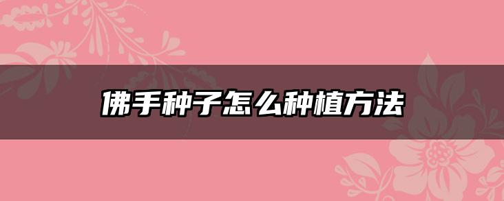 佛手种子怎么种植方法