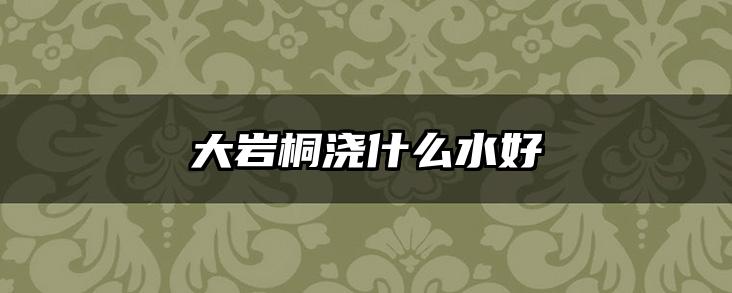 大岩桐浇什么水好