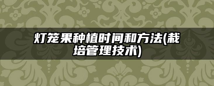 灯笼果种植时间和方法(栽培管理技术)