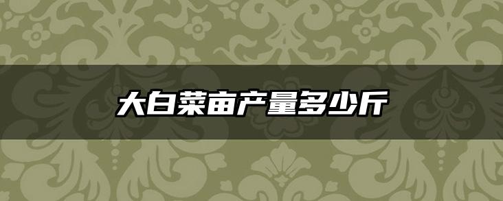 大白菜亩产量多少斤