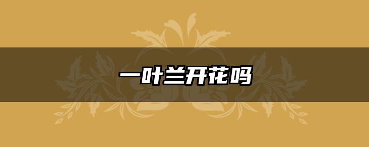 一叶兰开花吗