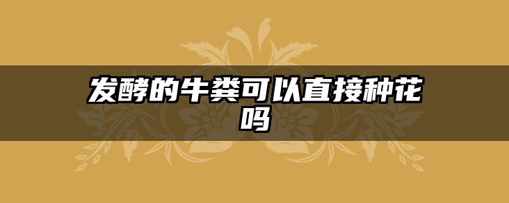 发酵的牛粪可以直接种花吗