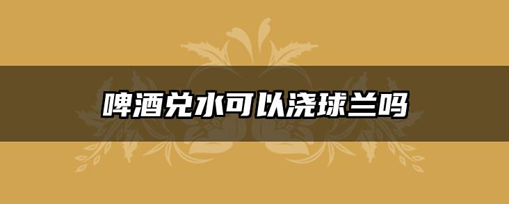 啤酒兑水可以浇球兰吗