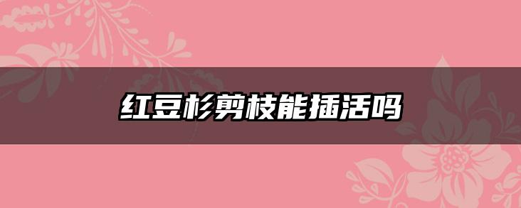 红豆杉剪枝能插活吗