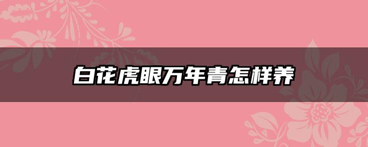 白花虎眼万年青怎样养