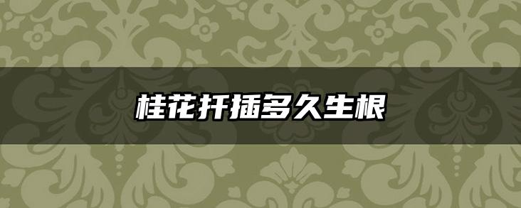 桂花扦插多久生根