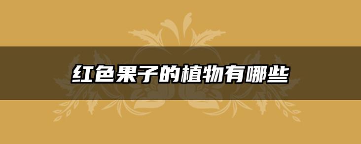 红色果子的植物有哪些