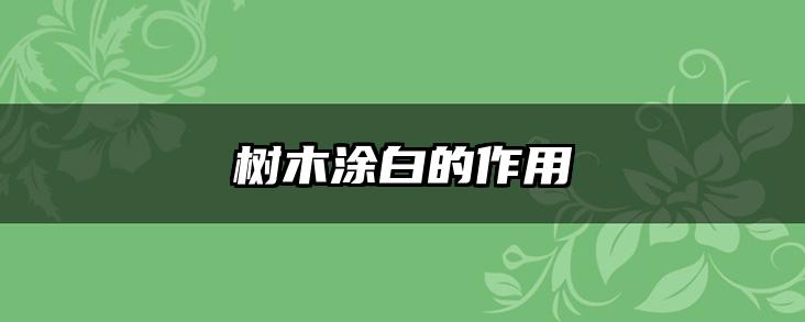 树木涂白的作用