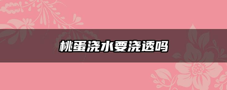 桃蛋浇水要浇透吗