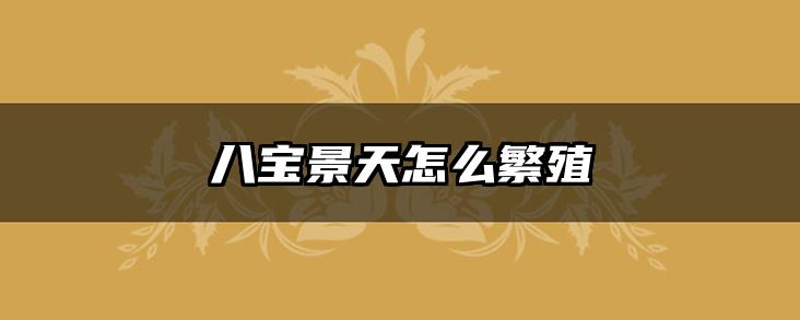 八宝景天怎么繁殖