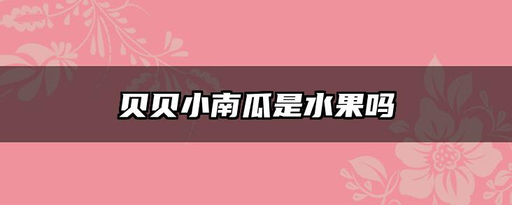 贝贝小南瓜是水果吗