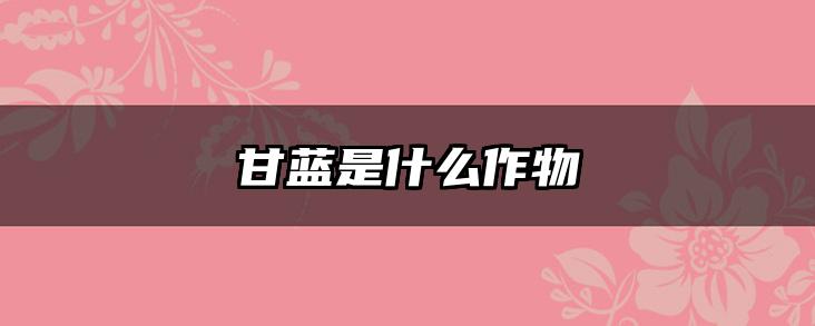 甘蓝是什么作物