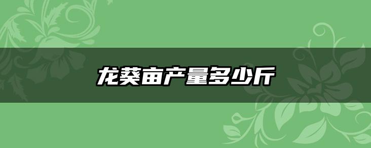 龙葵亩产量多少斤