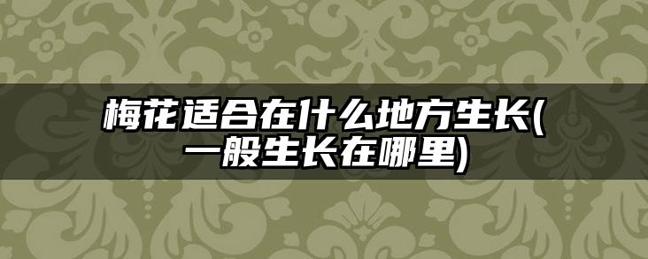 梅花适合在什么地方生长(一般生长在哪里)