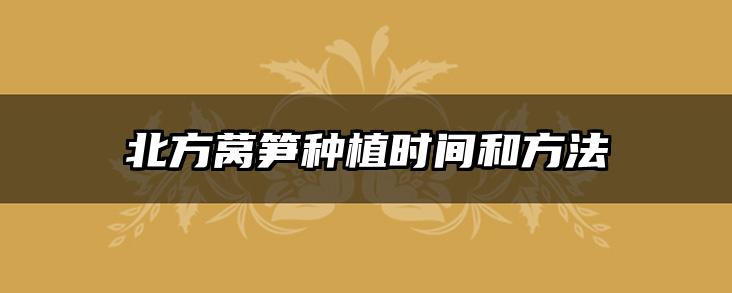 北方莴笋种植时间和方法